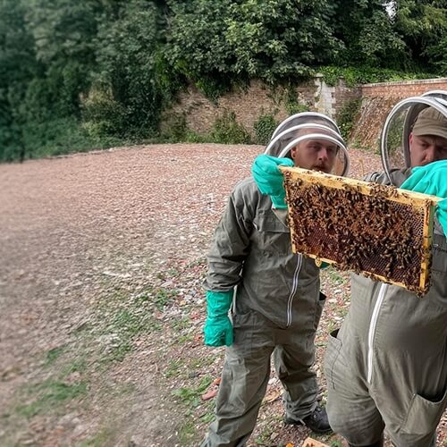 Beekeeping Course in Kent - Three Beekeepers With Honeycomb Beekeeping Course in Kent - Three Beekeepers With Honeycomb